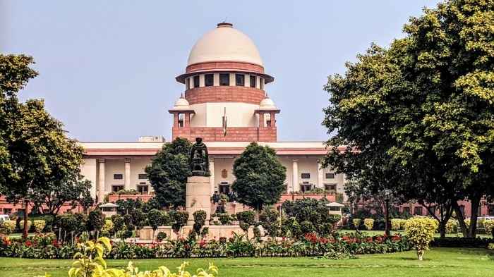 maternity leave for adoptive mothers supreme courts key verdict